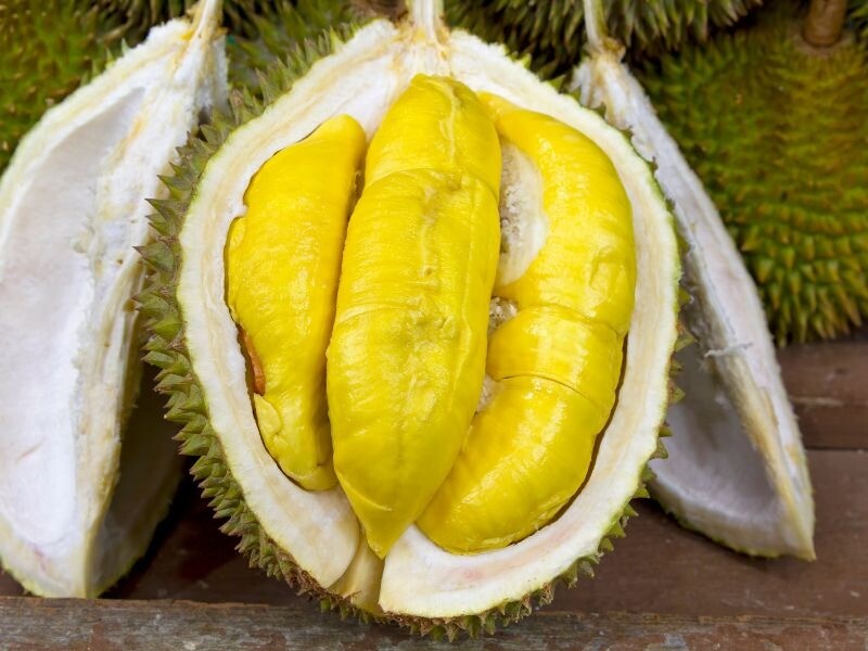Trồng Và Chăm Sóc Cây Sầu Riêng